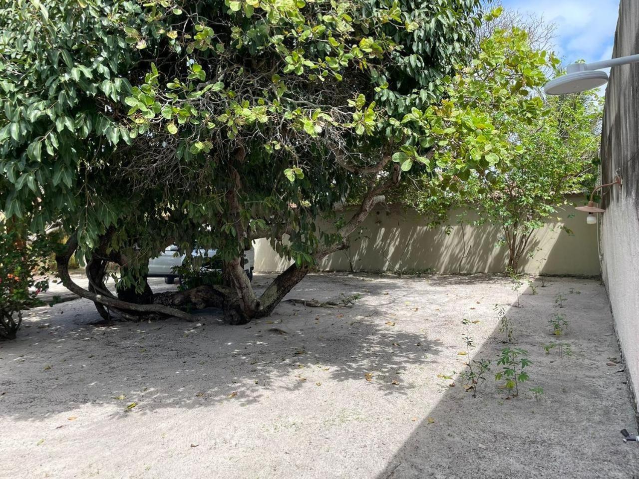 Recanto Das Aroeiras Alcobaça Eksteriør billede