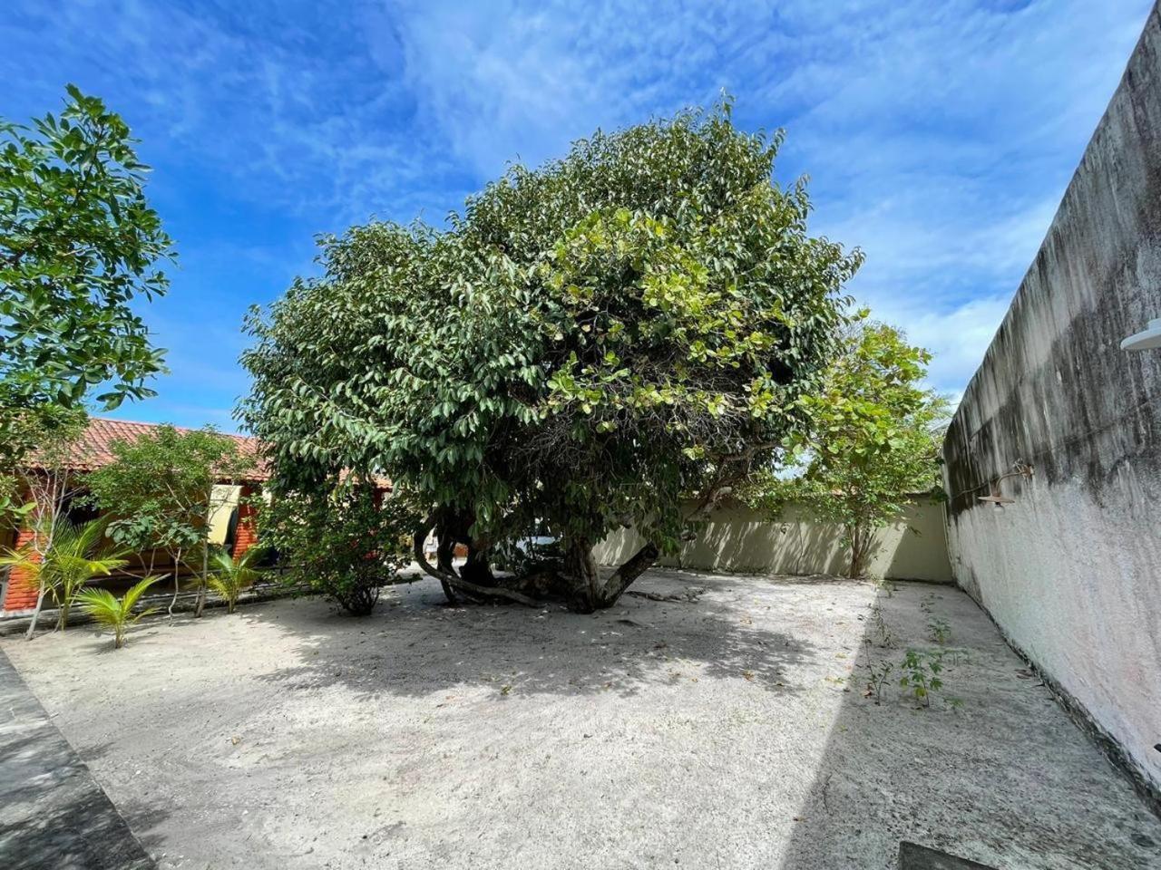 Recanto Das Aroeiras Alcobaça Eksteriør billede